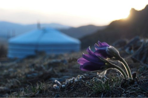 Дөрөвдүгээр сарын цаг агаарын ерөнхий төлөв